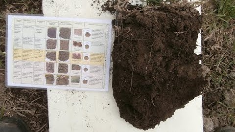 Top 1 farming skill: evaluating soil structure