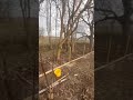 Site Clearance and Excavation on Rural Land | Groundzman