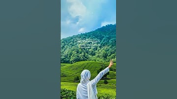 آيات//أكتب شيء تؤجر عليه🤍🌺 #quran #الرحمن #المصحف