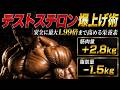 【2026年最新研究】テストステロンを最大1.99倍まで高める栄養戦略　~筋肉量＋2.8㎏・脂肪量-1.5㎏・骨密度＋7.5％~