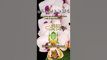 حالات واتس - سورة الكهف الاية (23) - القارئ | إسلام صبحي