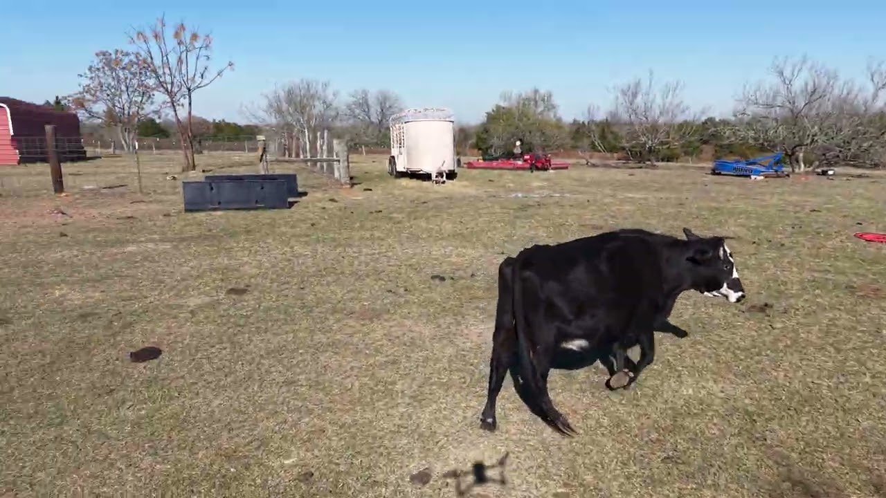 Jan 3rd 2026 First Flight (Front of Eldorado)
