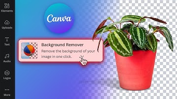 This Destroys the Background in seconds | How to Remove Background in Canva with Ai