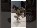 Diy jute flower #diy #art #howtomakewoolenflower #jutefibre #like #share #subscribe