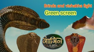 Naagin S4 brinda golden snake and vishakha snake fight green screen By ZQs Edits