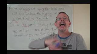 Answers DD 349