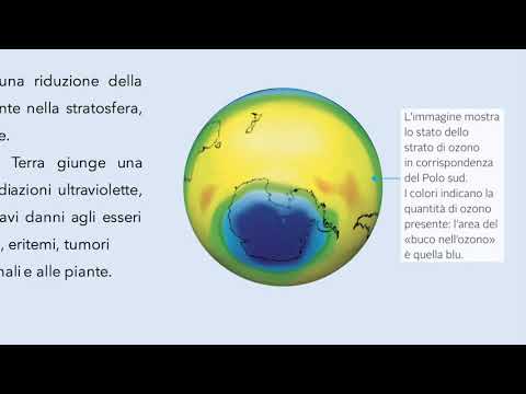 Video: L'inquinamento Atmosferico Ha Un Ruolo Nell'infertilità ?: Una Revisione Sistematica