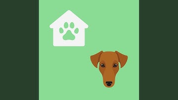 Pulsating Moods for Monday Puppy Playtime