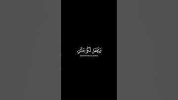 كروما شاشة سوداء سورة نوح القارئ 🎙️ شريف مصطفى 🤍 #غزة #فلسطين