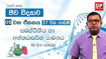 05 වන ඒකකය | 07 වන පාඩම - සමස්ථිතිය හා අනතරාසර්ග යාමනය -  06 වන කොටස | Biology Unit 05 Lesson 07