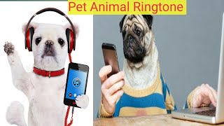 Pet Animal Sound Ringtone For Android and  iphone screenshot 5