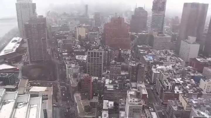 The Role of Nutrition in Dementia Prevention and Management