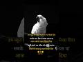 #motivation#studytips#lovestoryshayri#motivationalstories#sadsong#viral#trending#viralshorta#