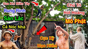 Cực Sốc Rung Rinh Nóc Nhà Cực Đỉnh Vua Khỉ Cưa Cây Bàng Siêu Khó Ở Trên Nóc Nhà 1/2