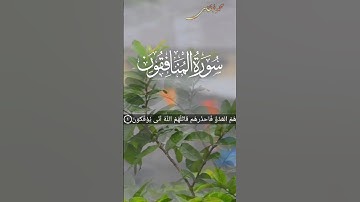 تلاوة رائعة من سورة المنافقون |القارئ محمد محمود طنطاوى
