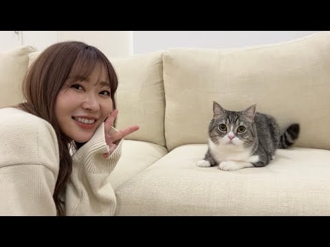 指原さんが遊びに来たら人見知りなはずの猫がまさかの展開になったw