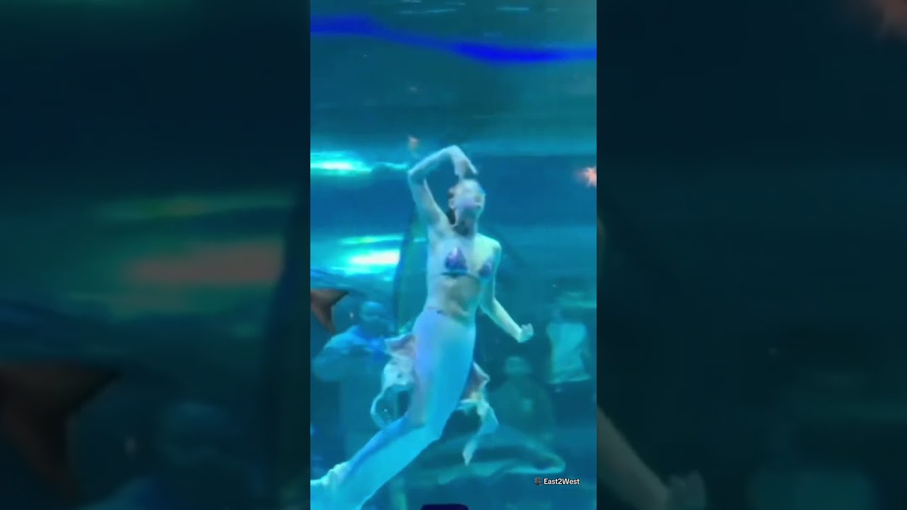 This is the harrowing moment a giant fish attacks a mermaid performer's face.