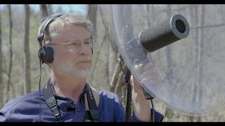 How To Record Audio  - The Basics