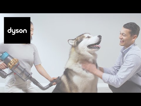 How to use the Pet grooming kit on your Dyson cordless
