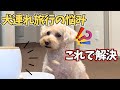 犬連れ旅行、これで不安なくなった【ペットカメラ】