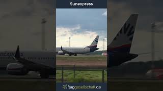 Vogelschlag (Birdstrike) Sunexpress Boeing 737-Max-8 Takeoff Runway 24L