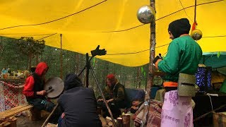 БЫТОВАЯ ЖИВОПИСЬ МУЗЫКИ МАЙЯ (фест. Solar Systo Togathering 2019)