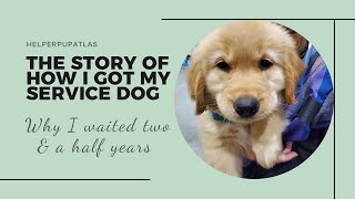 The story of how I got my service dog | Why I had to wait 2.5 years | Story time by helperpupatlas 1,729 views 1 year ago 19 minutes