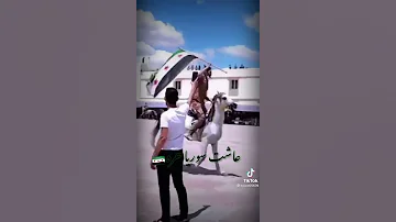 نحن احفاد أبوبكر وعمر وعثمان وعلي 