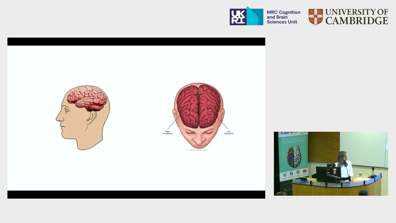 Brain and Language  From Post Mortem Discoveries to AI Powered MRI Tammer Truzman