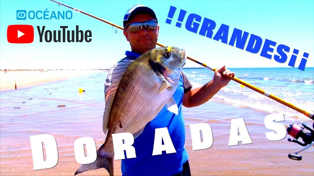 Surfcasting : ¡pon todas las posibilidades de tu lado pescando con dos  cañas!