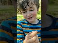 5 Fun Facts on the Farm 4 --Worm Snake