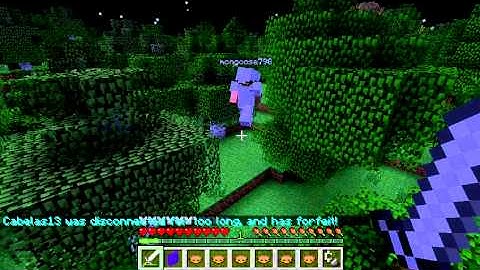 Hunger games fly hacker