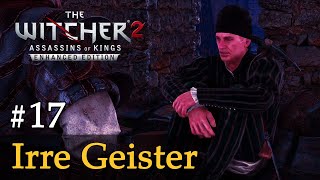 #17: Irre Geister  Let's Play The Witcher 2 (Blind / Schwer / Deutsch)