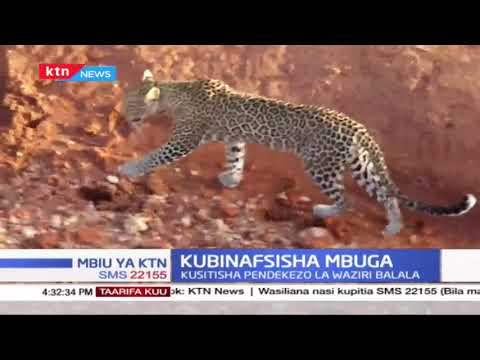 Wakazi wa Taita Taveta wakerwa na mjadala wa pendekezo la kubinafisishwa kwa mbuga za wanyama