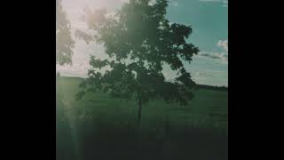 Vignette de la vidéo "✰free// "sparks00" // indie folk x ambient x acoustic indie type beat 2023"