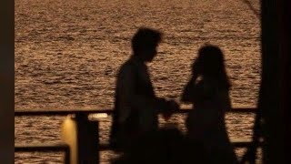 Flutter of a Butterfly - Anthony Lazaro & Jason La Pierre | 가사 | lyrics