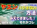 【ヤエン 三重県】アオリイカをバラさない。追求した結果‥コレが打率を上げる方法。