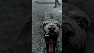 peak gameplay #skyrim #gaming #funny #fyp