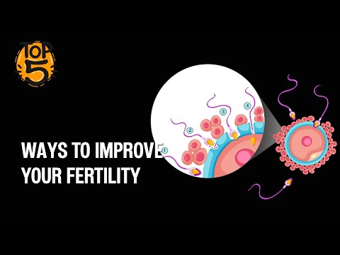 5 ways to improve your Fertility