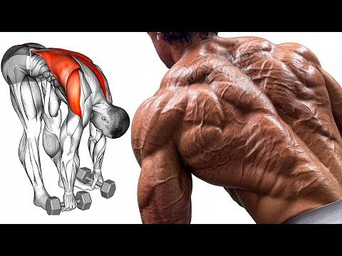 Huge Back Exercises That Force Massive Back Growth ( Workouts )
