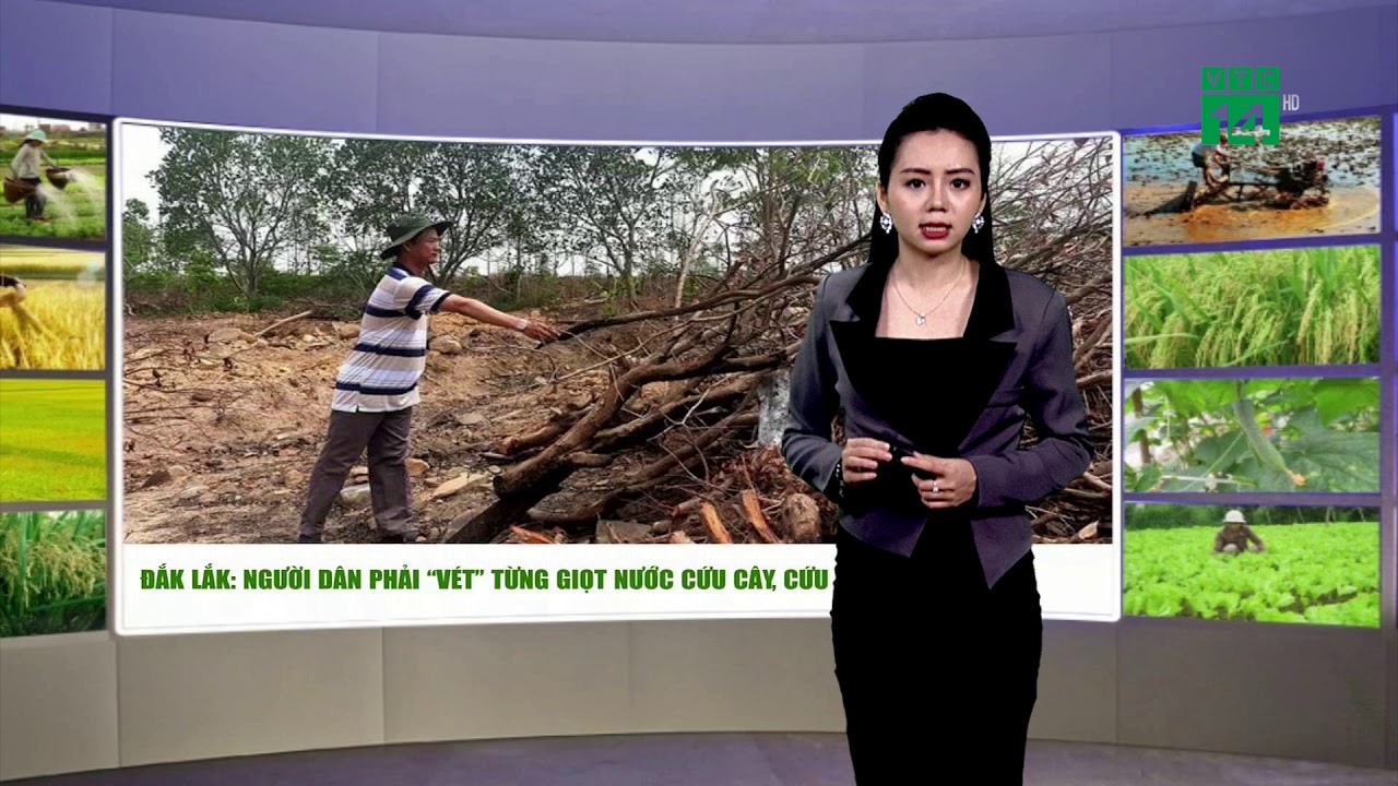 Thời tiết nông vụ 26/04/2019: Đắk Lắk nhiều ao hồ khô... - youtube