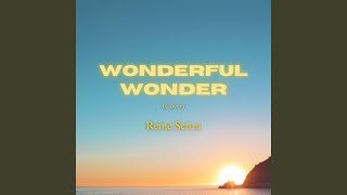 Wonderful Wonder