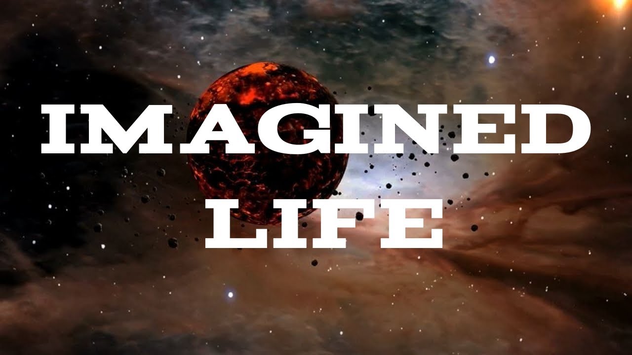 Imagined Life by James Trefil and Michael Summers