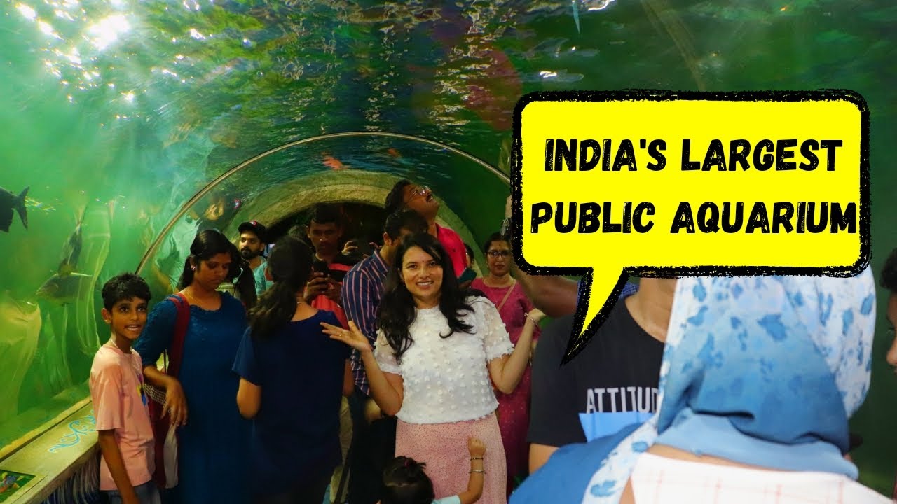 Marine World Public Aquarium || Chavakkad Thrissur Kerala #aquarium #familyvlog #prashviऔरmaa