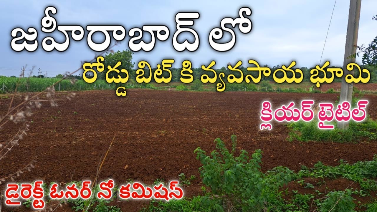 2.20 Guntas Agriculture Land For Sale in Zaheerabad Sanga Reddy