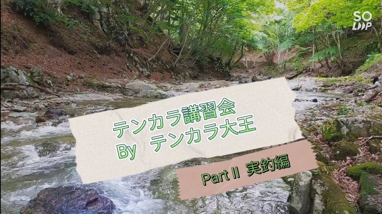 【長野県木祖村】テンカラ大王こと石垣尚男先生のテンカラ講習会に参加してきた！Part II  実釣編　#テンカラ #毛鉤 　#tenkara
