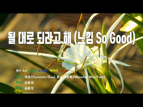 [은성 반주기] 될대로되라고해(느낌So Good) - 개코(Dynamic Duo).몬스터우팸(Monster Woo Fam)