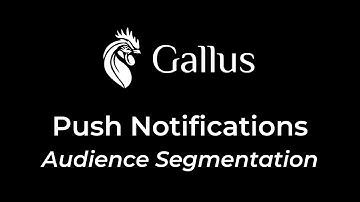 How Push Notifications Work - Audience Segmentation
