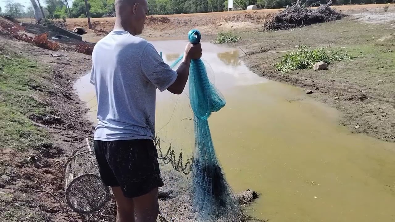 แบกุยมาหว่านแหซ้ำหมายเพราะเขาย่ามเก่า