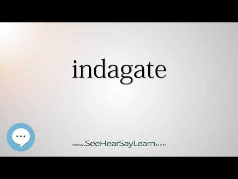 Vidéo: Que signifie le mot indagate ?